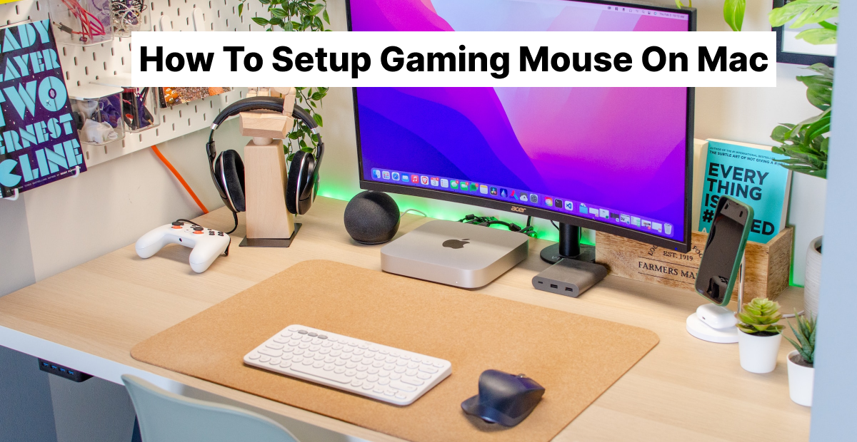 How to setup gaming mouse on mac