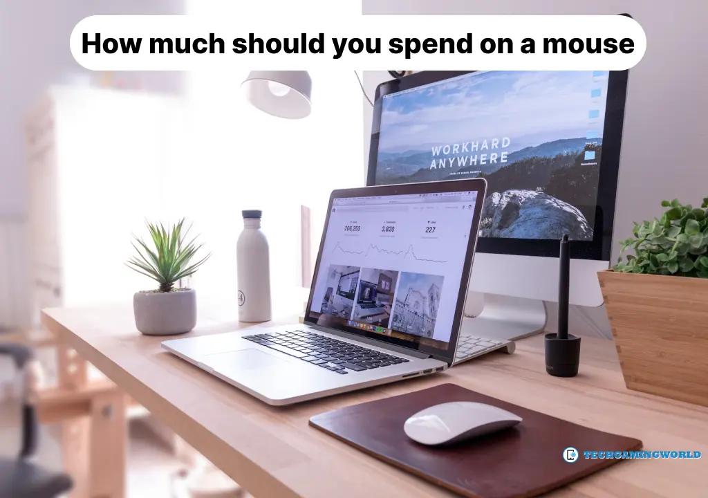 How much should you spend on a mouse