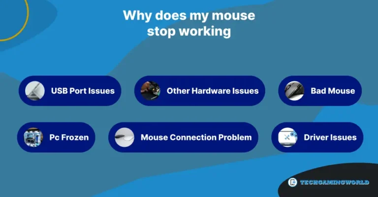 6 Solution for Why Does My Mouse Stop Working