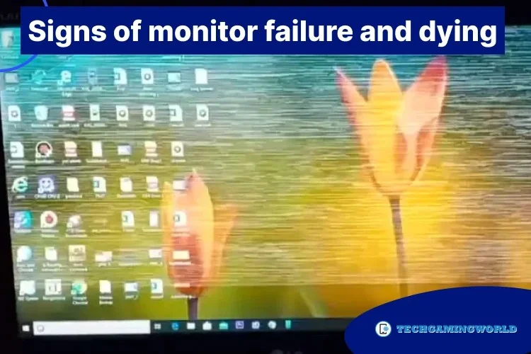 Signs of Monitor Failure and Dying 