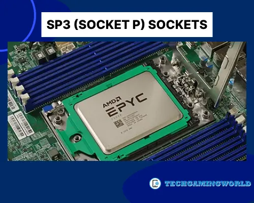 SP3 (Socket P) Sockets